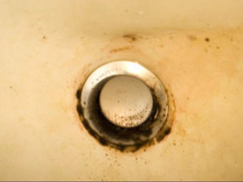 mold in sink