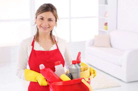 carpet mold and mildew removal