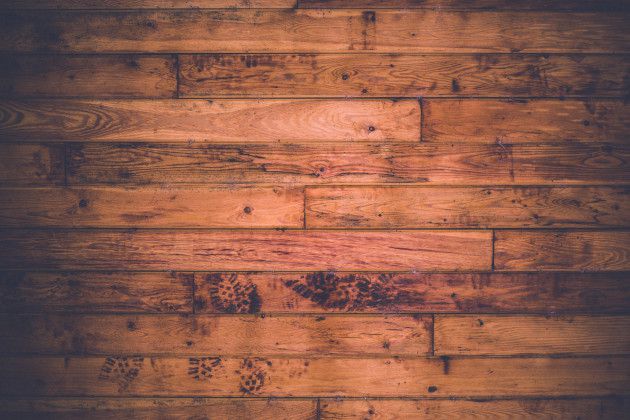 home mold removal