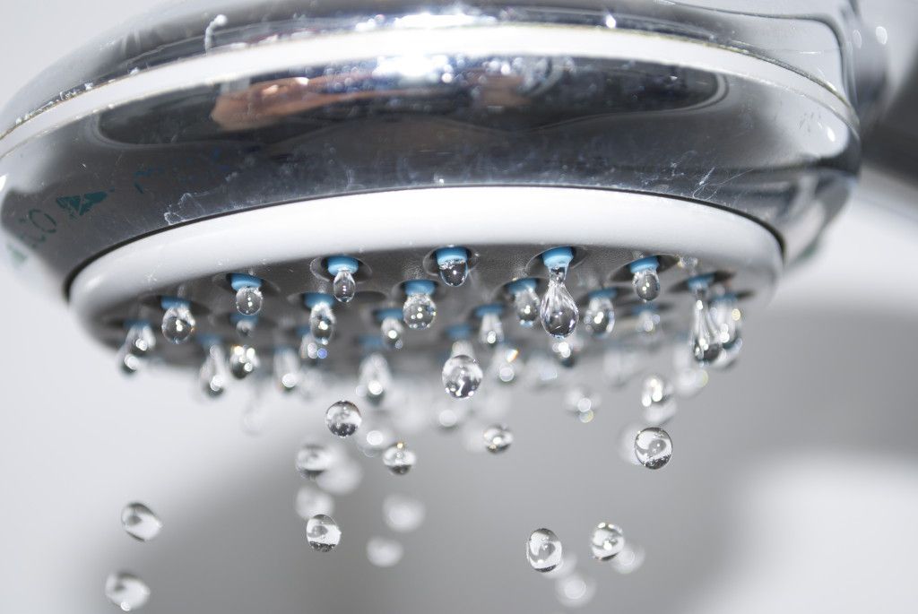 mold in the shower