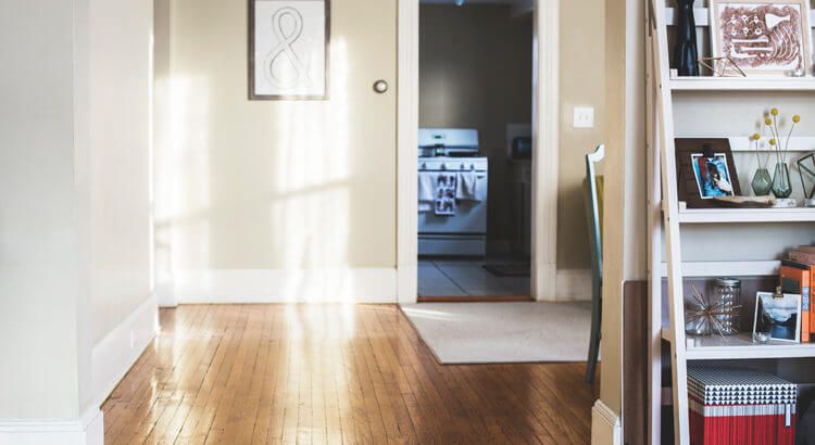 mold in the home